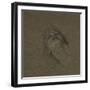 Study of a Female Head, 1891-96-Frederic Leighton-Framed Giclee Print