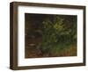 Study of a fern-August Cappelen-Framed Giclee Print