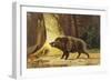 Study of a Fierce Boar in the Forest-Theodore Kiellerup-Framed Giclee Print