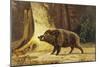 Study of a Fierce Boar in the Forest-Theodore Kiellerup-Mounted Giclee Print
