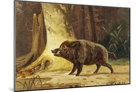 Study of a Fierce Boar in the Forest-Theodore Kiellerup-Mounted Giclee Print