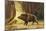 Study of a Fierce Boar in the Forest-Theodore Kiellerup-Mounted Giclee Print