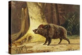 Study of a Fierce Boar in the Forest-Theodore Kiellerup-Stretched Canvas