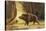 Study of a Fierce Boar in the Forest-Theodore Kiellerup-Stretched Canvas
