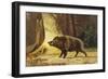 Study of a Fierce Boar in the Forest-Theodore Kiellerup-Framed Premium Giclee Print