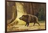 Study of a Fierce Boar in the Forest-Theodore Kiellerup-Framed Giclee Print