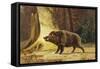Study of a Fierce Boar in the Forest-Theodore Kiellerup-Framed Stretched Canvas