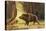 Study of a Fierce Boar in the Forest-Theodore Kiellerup-Stretched Canvas