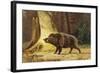 Study of a Fierce Boar in the Forest-Theodore Kiellerup-Framed Giclee Print