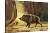 Study of a Fierce Boar in the Forest-Theodore Kiellerup-Stretched Canvas