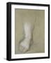 Study of a Foot-Federico Fiori Barocci-Framed Giclee Print