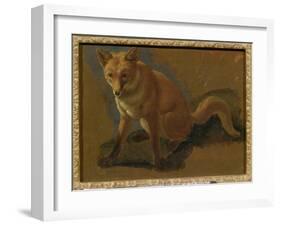 Study of a Fox (Oil on Panel)-Jacques-Laurent Agasse-Framed Giclee Print