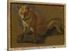 Study of a Fox (Oil on Panel)-Jacques-Laurent Agasse-Stretched Canvas