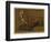 Study of a Fox (Oil on Panel)-Jacques-Laurent Agasse-Framed Premium Giclee Print