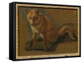 Study of a Fox (Oil on Panel)-Jacques-Laurent Agasse-Framed Stretched Canvas