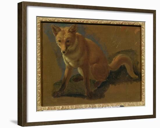 Study of a Fox (Oil on Panel)-Jacques-Laurent Agasse-Framed Giclee Print