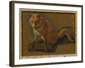 Study of a Fox (Oil on Panel)-Jacques-Laurent Agasse-Framed Giclee Print