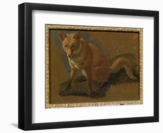 Study of a Fox (Oil on Panel)-Jacques-Laurent Agasse-Framed Giclee Print