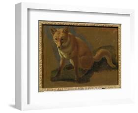 Study of a Fox (Oil on Panel)-Jacques-Laurent Agasse-Framed Giclee Print