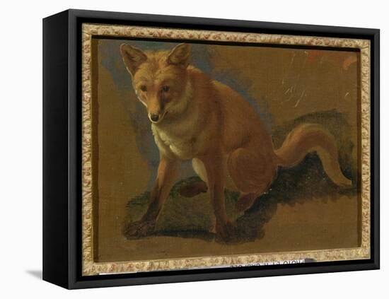 Study of a Fox (Oil on Panel)-Jacques-Laurent Agasse-Framed Stretched Canvas