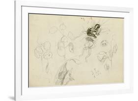 Study of a Frog and Foliage (Pencil, Pen & Ink and W/C on Paper)-John Northcote Nash-Framed Giclee Print