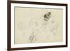 Study of a Frog and Foliage (Pencil, Pen & Ink and W/C on Paper)-John Northcote Nash-Framed Giclee Print