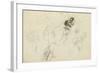 Study of a Frog and Foliage (Pencil, Pen & Ink and W/C on Paper)-John Northcote Nash-Framed Giclee Print