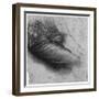 Study of a Garment for St Anne, 1503-1517-Leonardo da Vinci-Framed Giclee Print