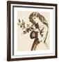 Study of a Girl Eating Cherries-Dante Gabriel Rossetti-Framed Premium Giclee Print