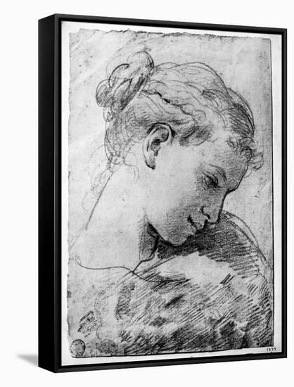 Study of a Girl's Head, 18th Century-Gaetano Gandolfi-Framed Stretched Canvas