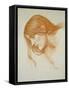 Study of a Girl's Head (Red Chalk on Paper)-John William Waterhouse-Framed Stretched Canvas