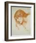Study of a Girl's Head (Red Chalk on Paper)-John William Waterhouse-Framed Giclee Print