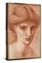 Study of a Girl's Head-Edward Burne-Jones-Stretched Canvas