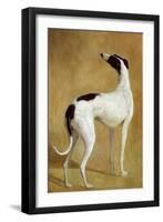 Study of a Greyhound-Jacques-Laurent Agasse-Framed Giclee Print