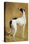 Study of a Greyhound-Jacques-Laurent Agasse-Stretched Canvas