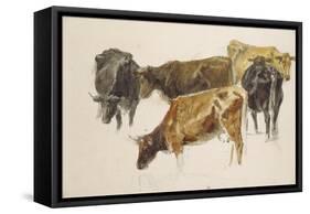 Study of a Group of Cows, C. 1801-J. M. W. Turner-Framed Stretched Canvas
