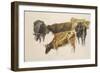 Study of a Group of Cows, C. 1801-J. M. W. Turner-Framed Giclee Print