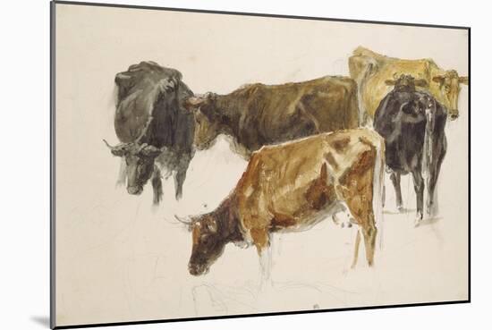 Study of a Group of Cows, C. 1801-J. M. W. Turner-Mounted Giclee Print