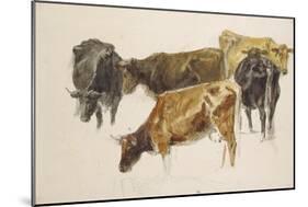 Study of a Group of Cows, C. 1801-J. M. W. Turner-Mounted Giclee Print