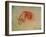 Study of a Hand-Leonardo da Vinci-Framed Giclee Print