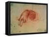 Study of a Hand-Leonardo da Vinci-Framed Stretched Canvas