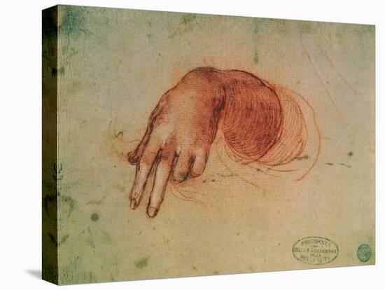 Study of a Hand-Leonardo da Vinci-Stretched Canvas