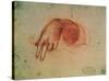 Study of a Hand-Leonardo da Vinci-Stretched Canvas