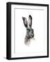 Study of a Hare, 1502-Albrecht Durer-Framed Giclee Print