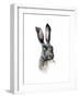 Study of a Hare, 1502-Albrecht Durer-Framed Giclee Print