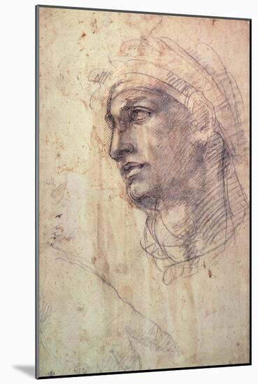 Study of a Head (Charcoal) Inv.1895/9/15/498 (W.1)-Michelangelo Buonarroti-Mounted Giclee Print