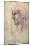 Study of a Head (Charcoal) Inv.1895/9/15/498 (W.1)-Michelangelo Buonarroti-Mounted Premium Giclee Print