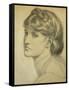 Study of a Head for 'The Bower Meadow', 1872-Dante Gabriel Rossetti-Framed Stretched Canvas