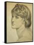 Study of a Head for 'The Bower Meadow', 1872-Dante Gabriel Rossetti-Framed Stretched Canvas