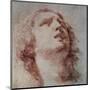 Study of a Head Looking Up-Pietro Berrettini-Mounted Art Print